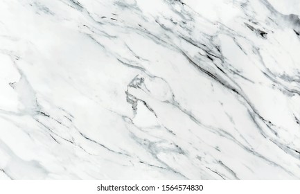 White marble texture pattern with vector