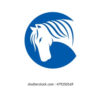 White Mare Horse