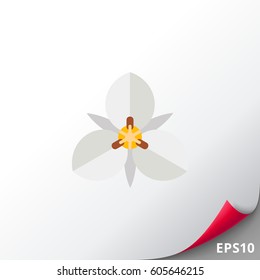 White mariposa flower icon