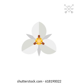 White mariposa flower icon