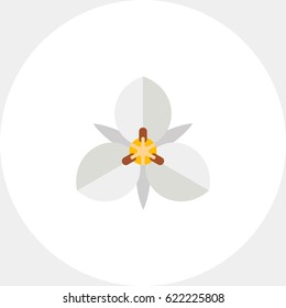 White mariposa flower icon