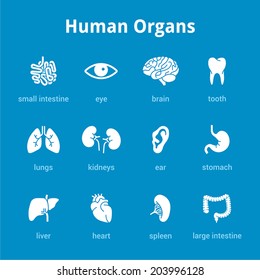 White medical human organs icon set on blue background