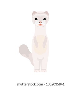 White mink. Mink in a flat style. Isolated, vector.