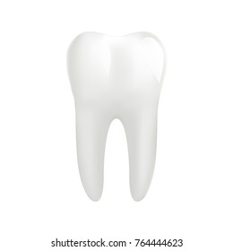 White molar tooth isolated on white background. Vector illustration.