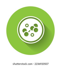 White Molecule icon isolated with long shadow background. Structure of molecules in chemistry, science teachers innovative educational poster. Green circle button. Vector