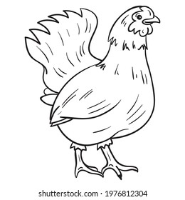 a white monochrome hen. comic, isolated, vector.