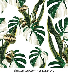 White monstera leaves and exotic sansevieria seamless pattern. White background.