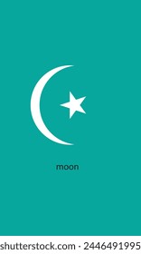 White Moon Star Logo Vektorgrafik 