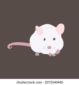 White mouse is actually albino mouse. It commonly used for laboratory purpose. It had been bred since 1920.