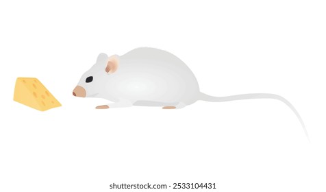 White mouse isolated. vector illustration
