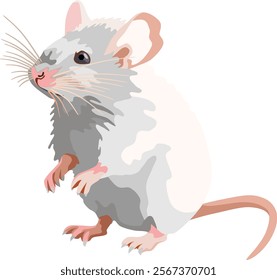 White Mouse Rat Mammal Animal Vector