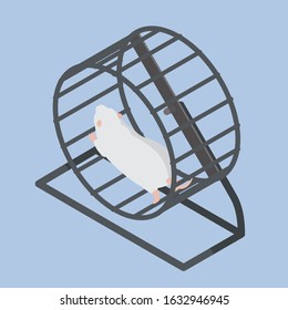 White mouse running in a wheel isometric illustration. Stock vector icon on blue background.