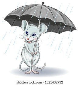 White mouse with umbrella. Suitable for 2020 calendar, Zodiac sign, horoscope.  Decorative greeting card-happy New year and merry Christmas.