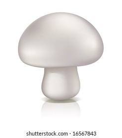 White Mushroom