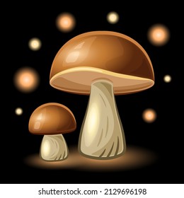 White mushroom Boletus edulis realistic cartoon isolated black background