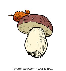 White mushroom boletus. Pop art retro vector illustration vintage kitsch