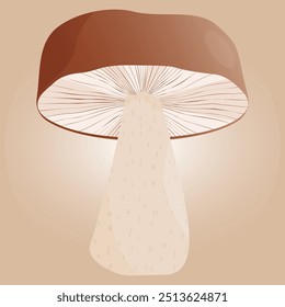 Vetor de boleto de cogumelo branco no fundo de cor. Elemento floresta de outono
