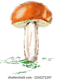 White mushroom in forest. Watercolour illustration