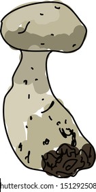 White mushroom, illustration, vector on white background.