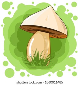 White mushroom on an abstract background. Picture. Vector isolated on white. Cartoon flat style. Beautiful little forest mushroom in the grass.