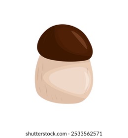 White mushroom on white background vector illustration