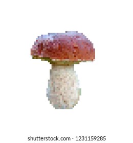 White mushroom in pixel art, porcini mushroom, cep