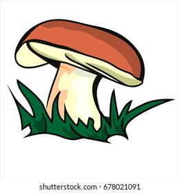 White mushroom , vector icon.