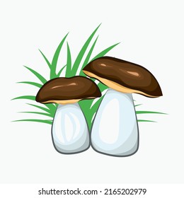 White mushroom vector icon on green grass background. Menu design, recipes, icon.