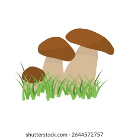 White mushroom. vegetable healthy food. mushrooms isolated on white background. Vector cartoon close-up illustration.