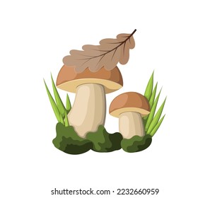 White mushrooms in the grass on a white background