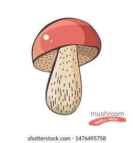 White mushrooms in hand drawn vector illustration in color. Sketch food drawing isolated on white background. Organic, vegetarian product. Great for menu, label, product packaging, recipe