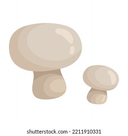 White mushrooms icon. Natural, fresh and organic products. Healthy eating, balanced nutrition and vegetarian diet. Flora and wild life, forest in autumn season. Cartoon flat vector illustration