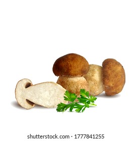 White mushrooms low poly. Fresh, nutritious, tasty White mushrooms. Delicious and healthy lunch. Vector illustration. White mushrooms in triangulation technique.