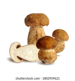 White mushrooms low poly. Fresh, nutritious, tasty White mushrooms. Delicious and healthy lunch. Vector illustration. White mushrooms in triangulation technique.