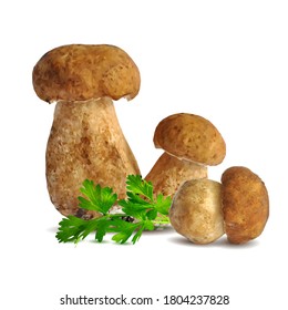 Weiße Pilze aus Low-Poly. Frische, nahrhafte, schmackhafte weiße Pilze. Köstliches und gesundes Mittagessen. Vektorgrafik. Weiße Pilze in Triangulationstechnik.