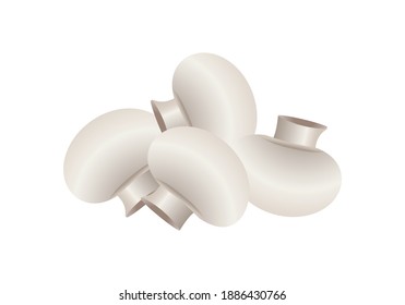
White mushrooms on white background