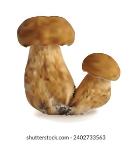 Weiße Pilze, Vektorgrafik. Frische, nahrhafte, schmackhafte weiße Pilze. Köstliches und gesundes Mittagessen. Vektorgrafik. Weiße Pilze in Mesh-Technik.