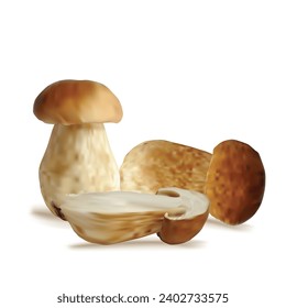 Weiße Pilze, Vektorgrafik. Frische, nahrhafte, schmackhafte weiße Pilze. Köstliches und gesundes Mittagessen. Vektorgrafik. Weiße Pilze in Mesh-Technik.