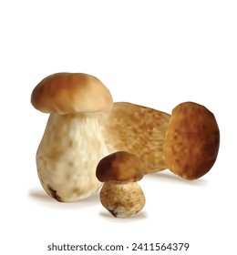 Weiße Pilze, Vektorgrafik. Frische, nahrhafte, schmackhafte weiße Pilze. Köstliches und gesundes Mittagessen. Vektorgrafik. Weiße Pilze in Mesh-Technik.