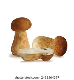 Vector de hongos blancos. Hongos blancos frescos, nutritivos y sabrosos. Almuerzo delicioso y saludable. Ilustración vectorial. Hongos blancos en la técnica de malla.