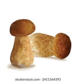 White mushrooms vector. Fresh, nutritious, tasty White mushrooms. Delicious and healthy lunch. Vector illustration. White mushrooms in mesh technique.