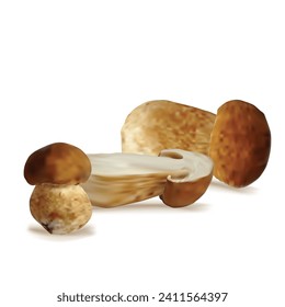 White mushrooms vector. Fresh, nutritious, tasty White mushrooms. Delicious and healthy lunch. Vector illustration. White mushrooms in mesh technique.