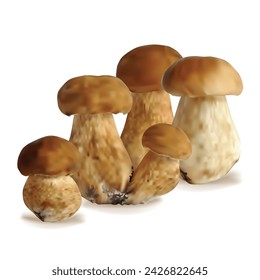 White mushrooms vector. Fresh, nutritious, tasty White mushrooms. Delicious and healthy lunch. Vector illustration. White mushrooms in mesh technique.