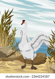 Un cisne blanco mudo extiende sus alas y se para sobre la arena a orillas del río. Paisaje vertical vectorial realista