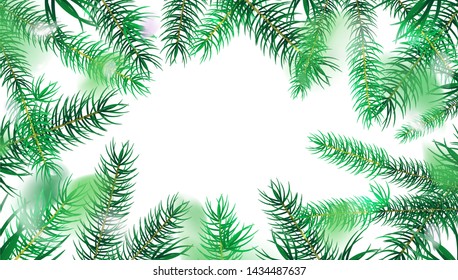 White nature abstract background with fir tree leaves vector design