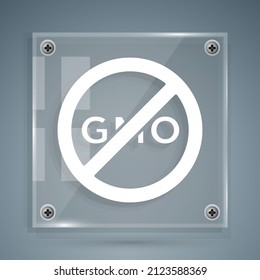 White No GMO icon isolated on grey background. Genetically modified organism acronym. Dna food modification. Square glass panels. Vector