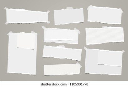 White note, notebook paper pieces with torn edge stuck on gray backgroud. Vector illustration.