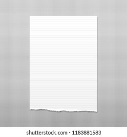 White note, notebook paper with torn edge stuck on gray squared backgroud. Vector illustration.