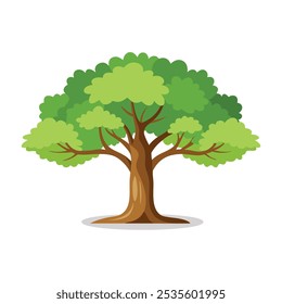 White Oak Cedar tree isolated flat vector illustration on white background