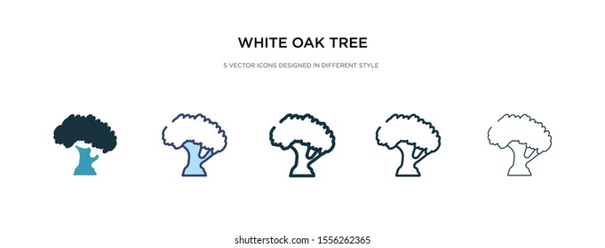 white oak tree icon in different style vector illustration. two colored and black white oak tree vector icons designed in filled, outline, line and stroke style can be used for web, mobile, ui